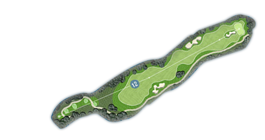 Couse 12Hole
