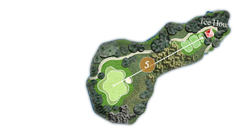 Couse 5Hole